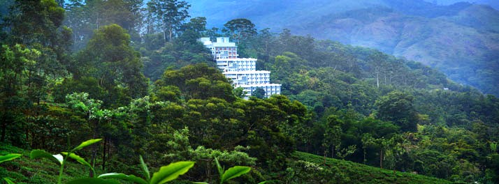 Chandys Windy Woods - Munnar 01.jpg